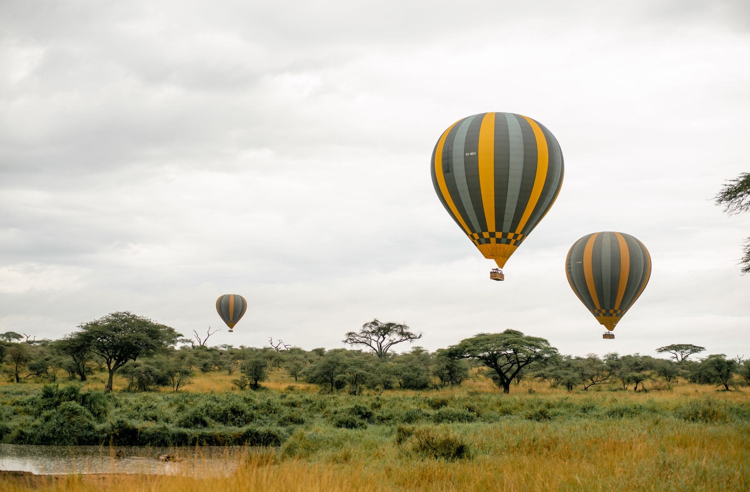 Hot-air balloons drifting over acacia savannah