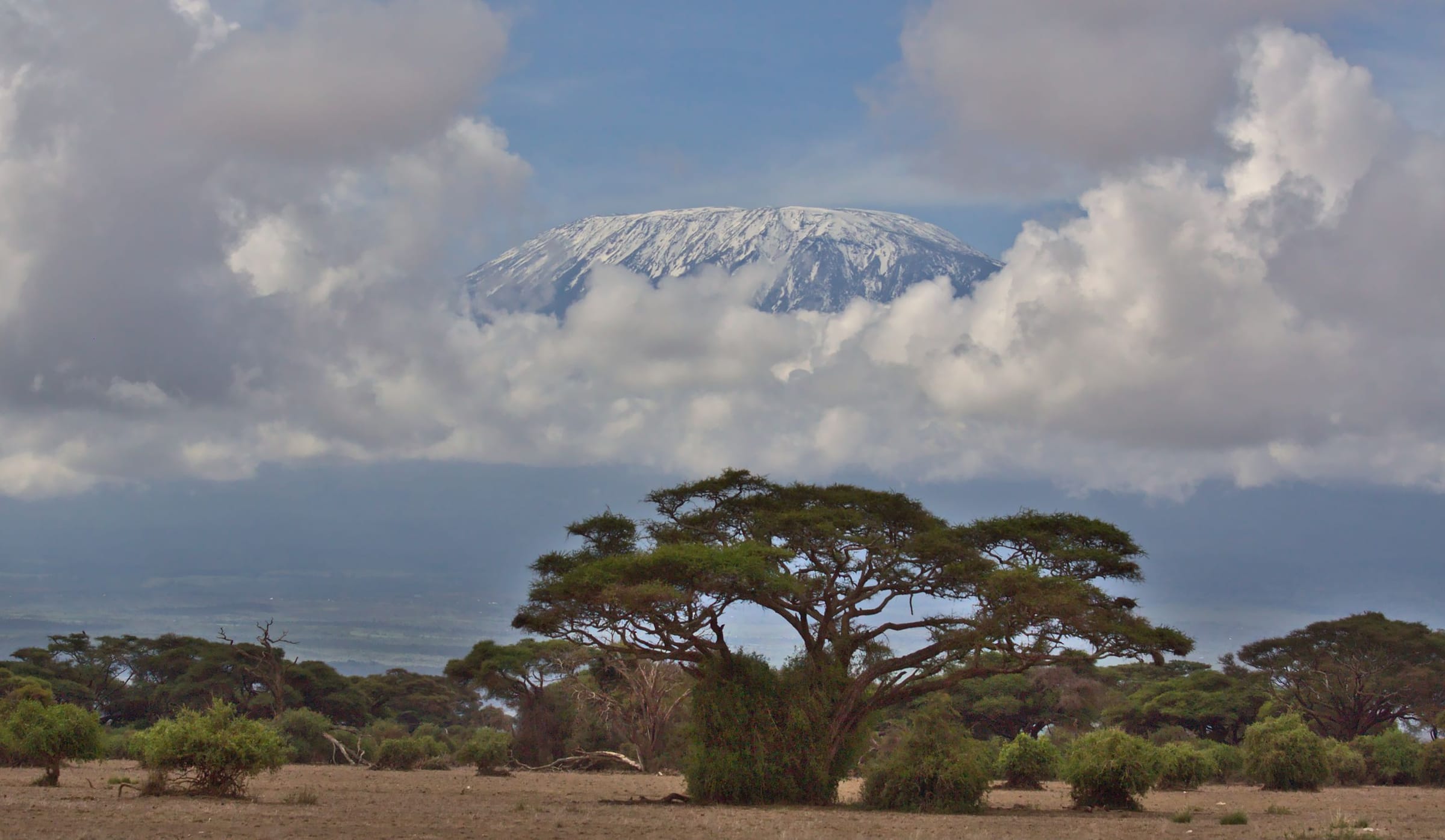 Mount Kilimanjaro rising above acacia trees and cloud