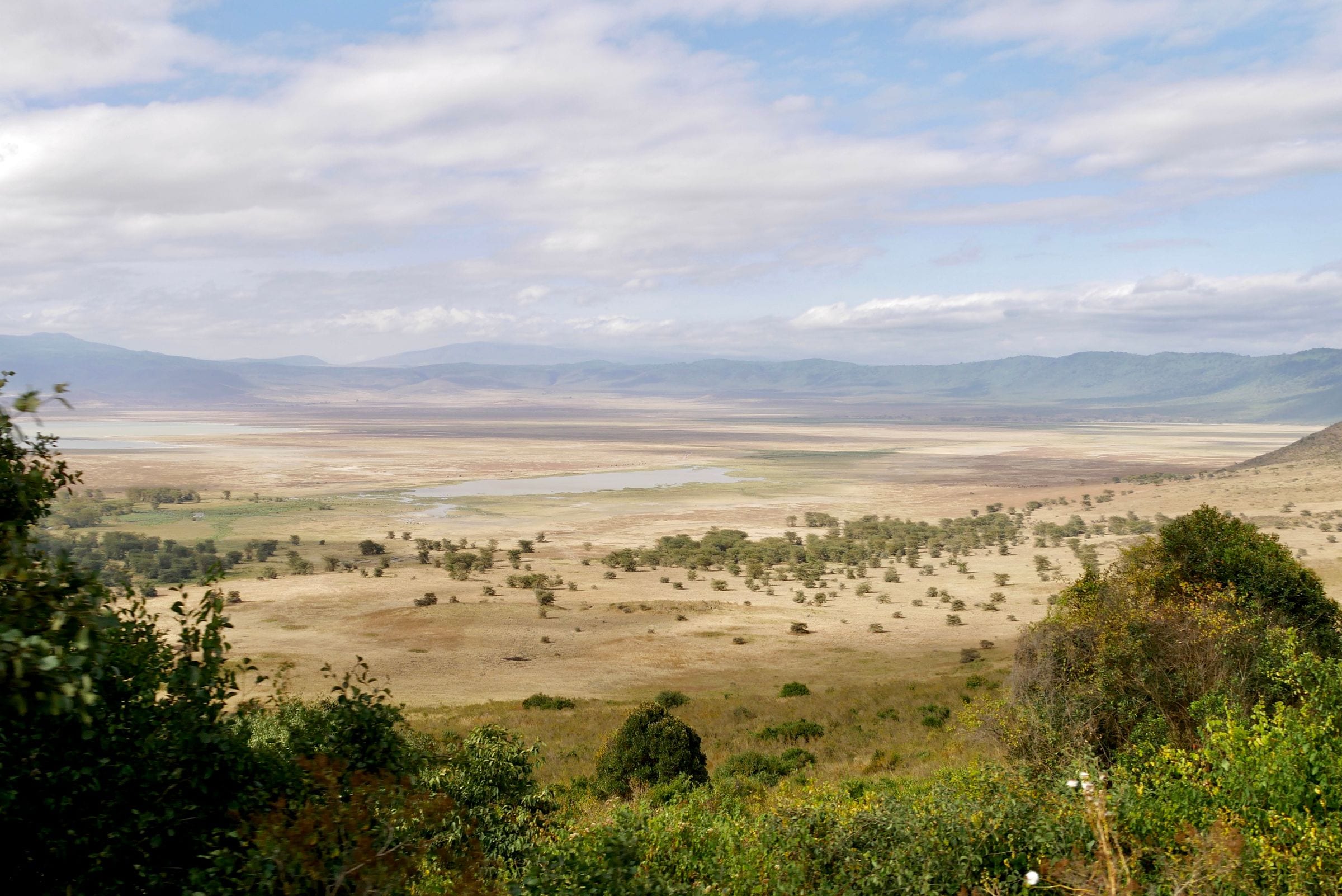 Looking across the Ngorongoro Crater from the rim