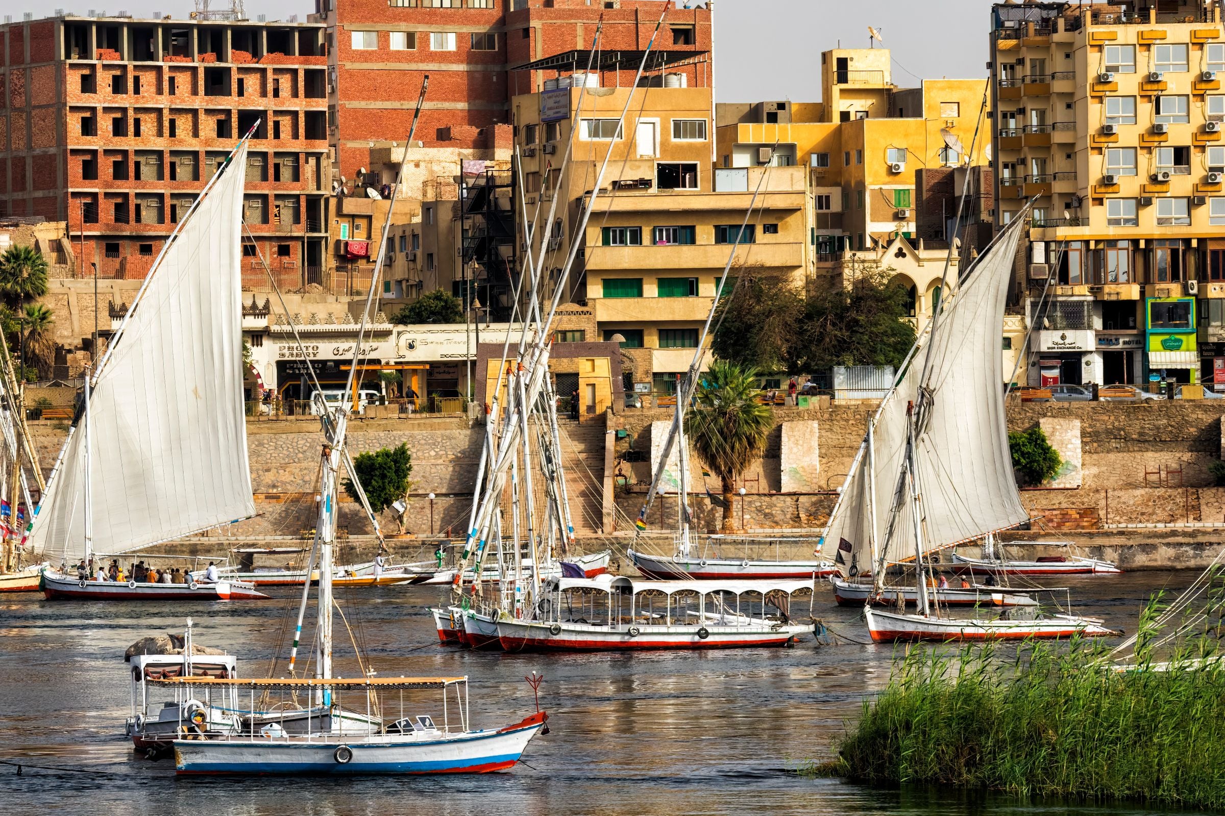 Feluccas sailing on the Nile at Aswan
