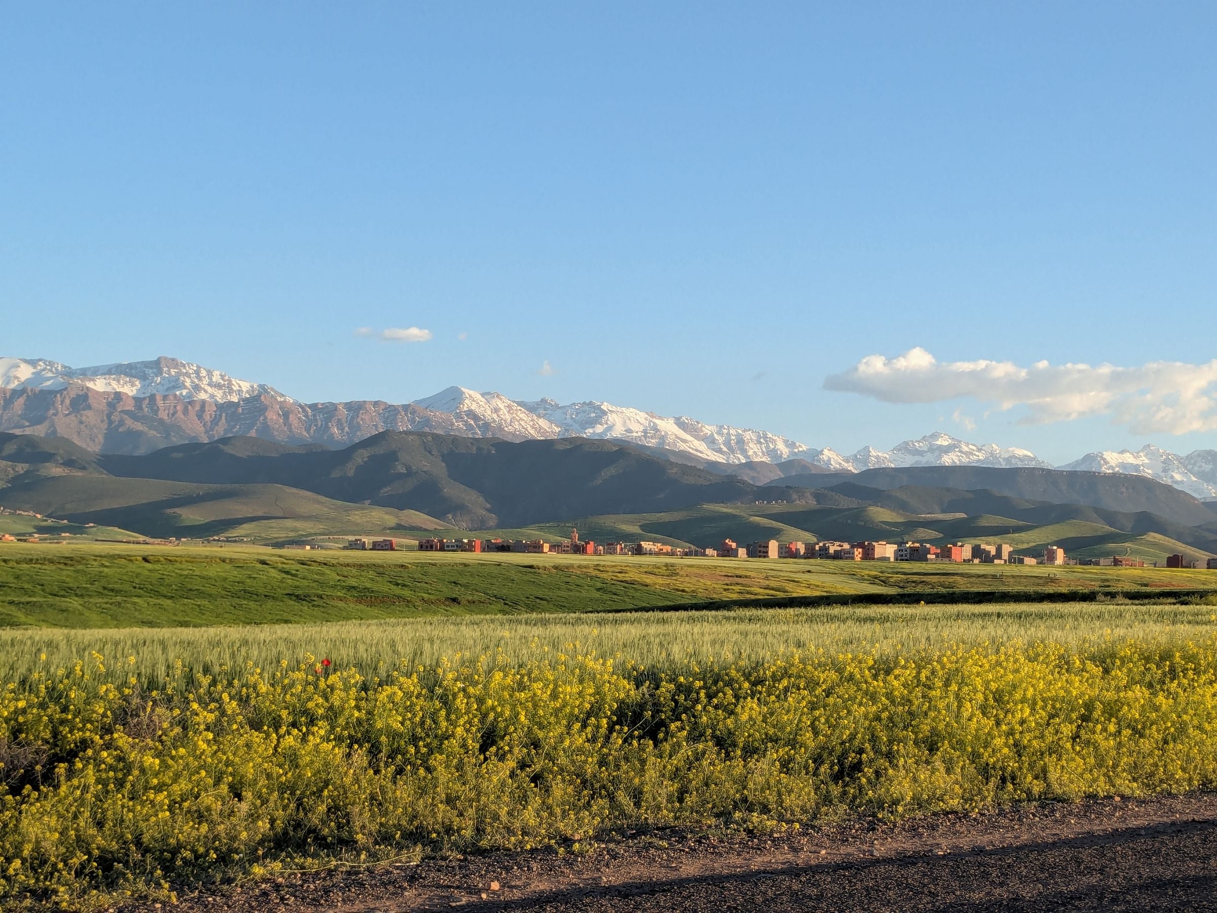 The snow-capped Atlas Mountains seen across fields near Marrakech