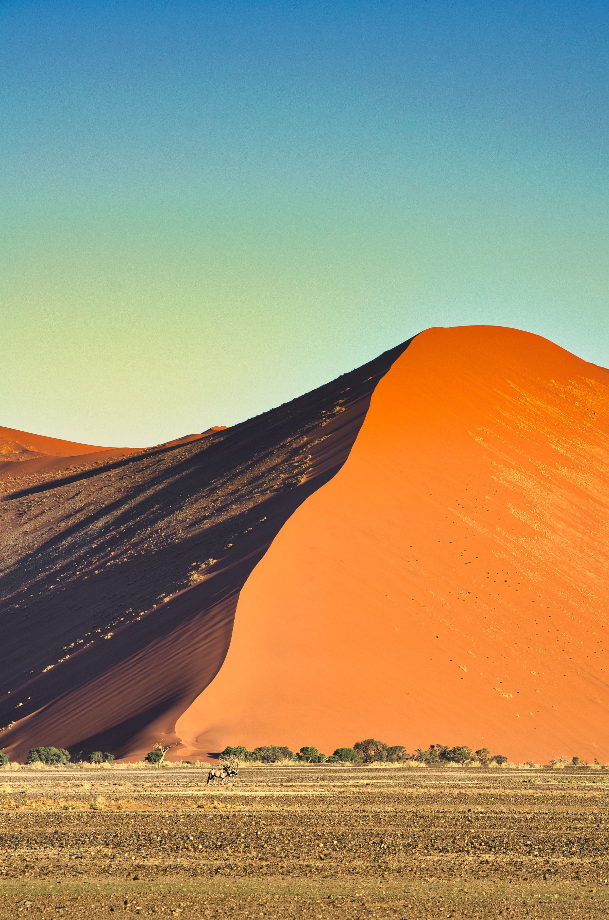 A red dune at Sossusvlei casting long shadows at dusk