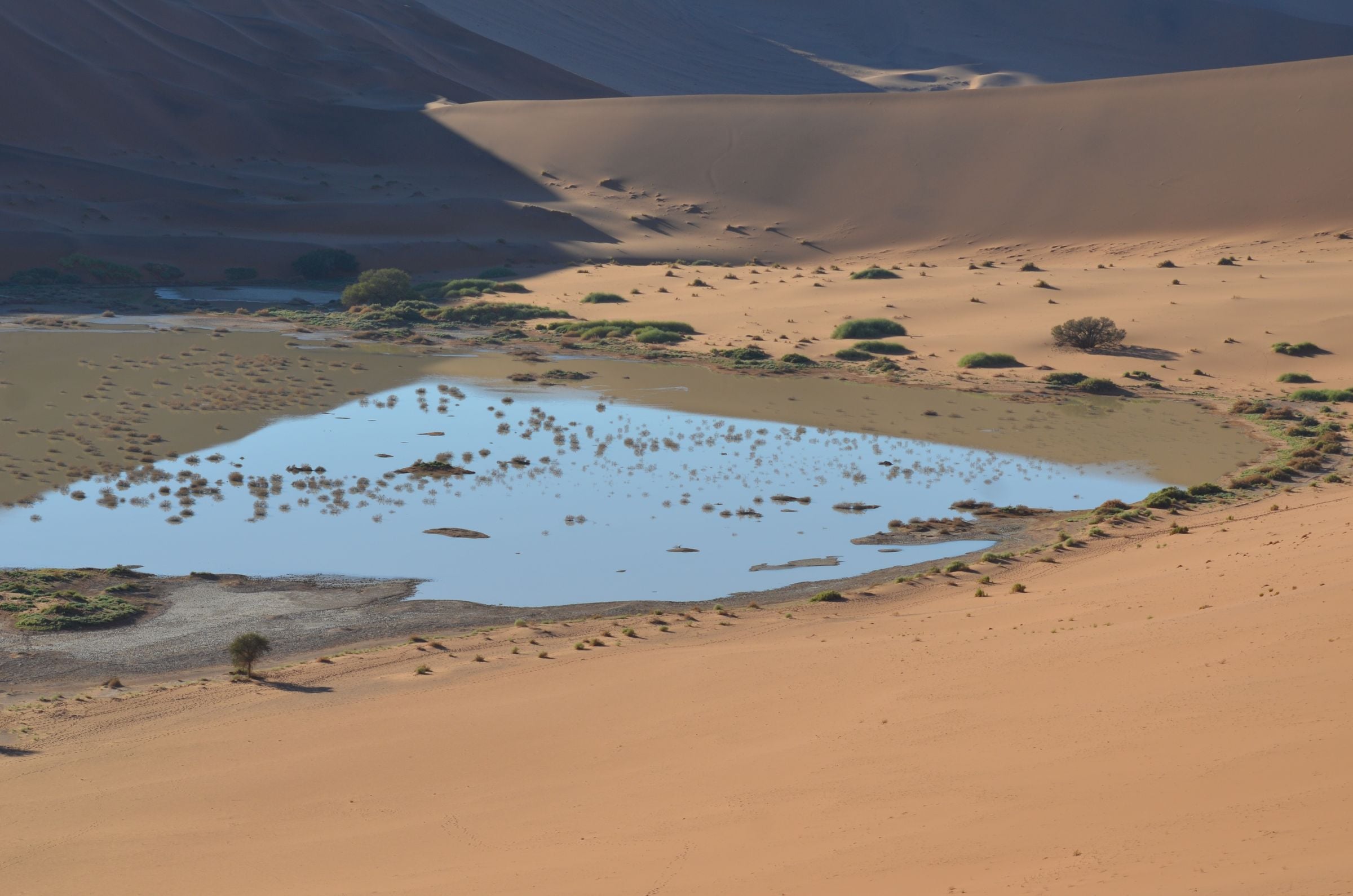 Water in the pan at Sossusvlei between the dunes