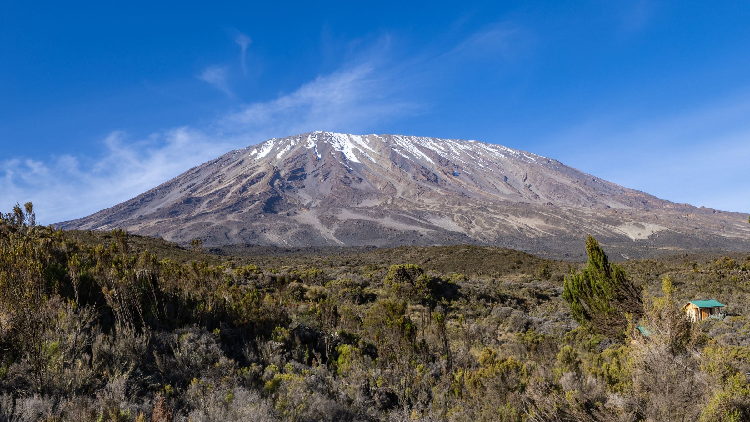 Mount Kilimanjaro's snowy summit above the moorland