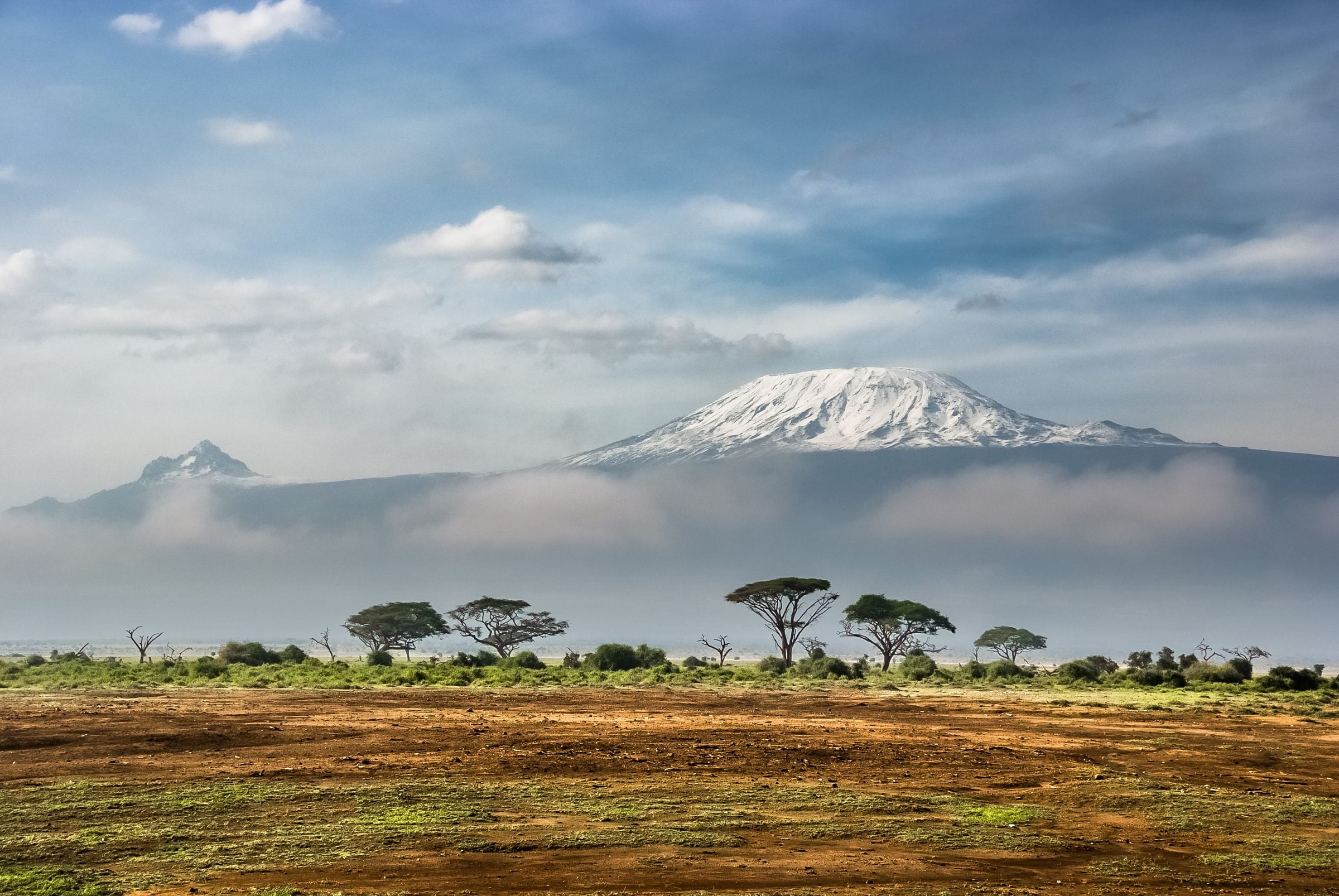 Kilimanjaro rising behind acacia trees and savannah