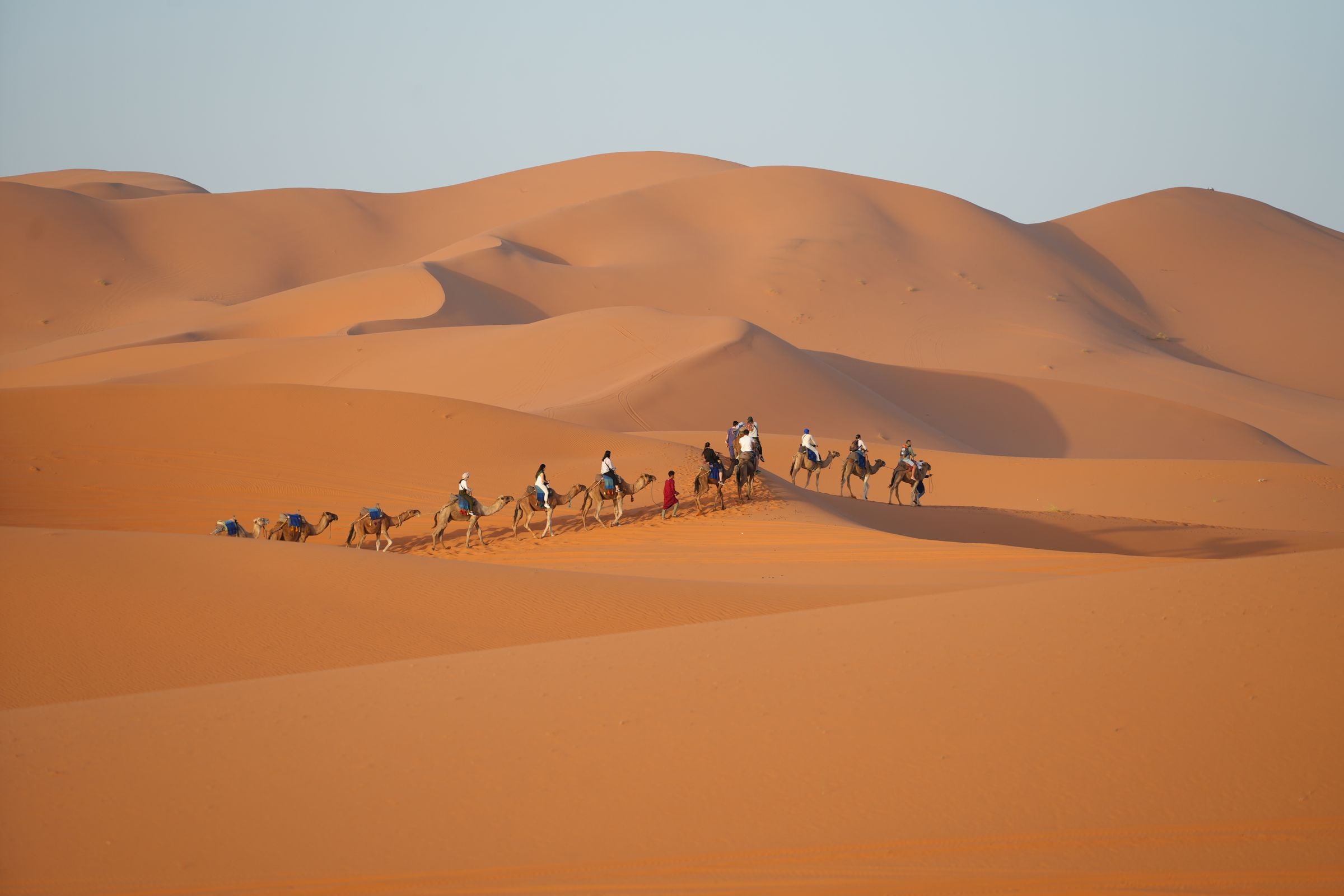 A camel caravan crossing the dunes of Merzouga at sunset