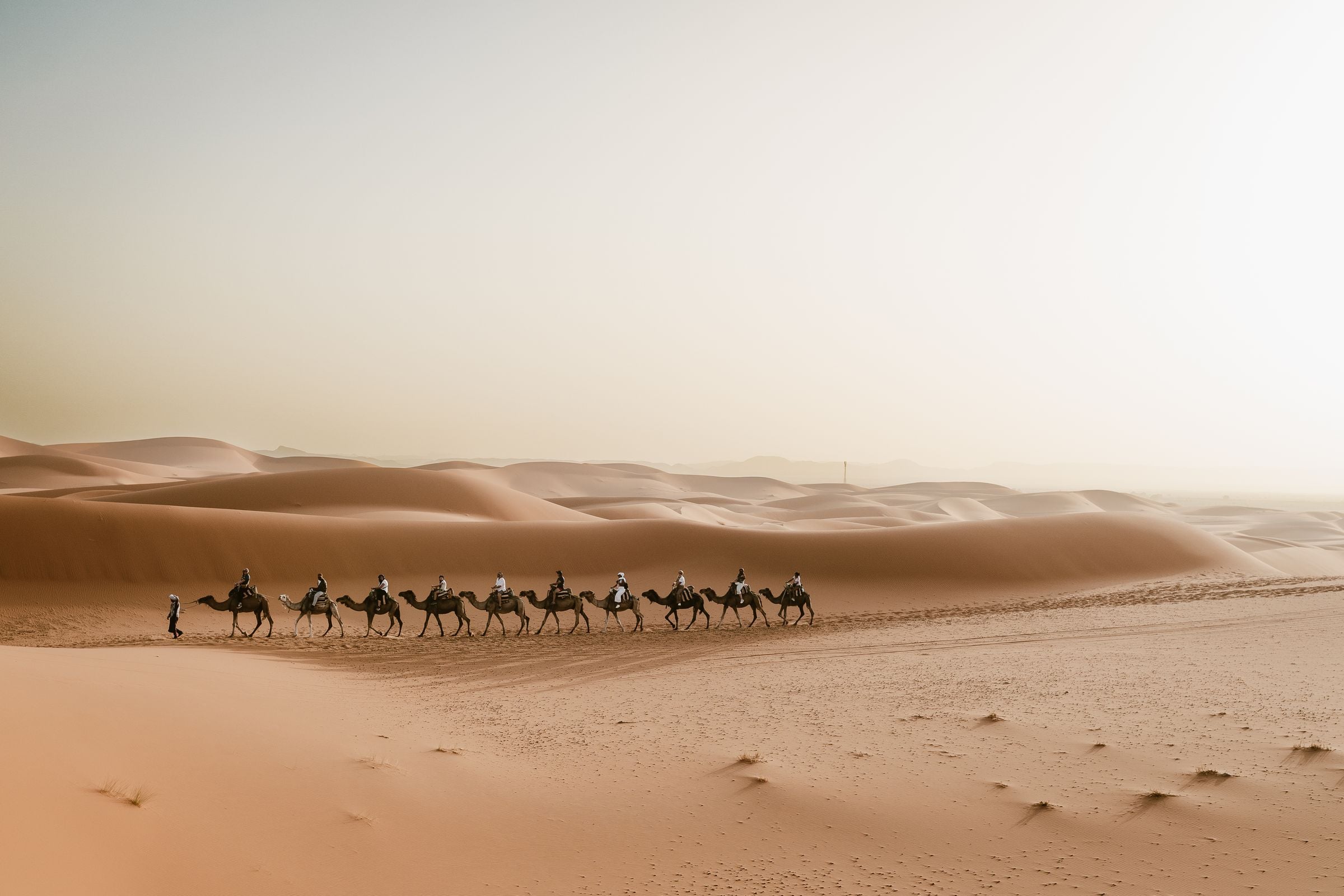 A camel caravan in the dunes near Merzouga